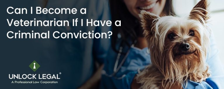 Can I Become a Veterinarian If I Have a Criminal Conviction?